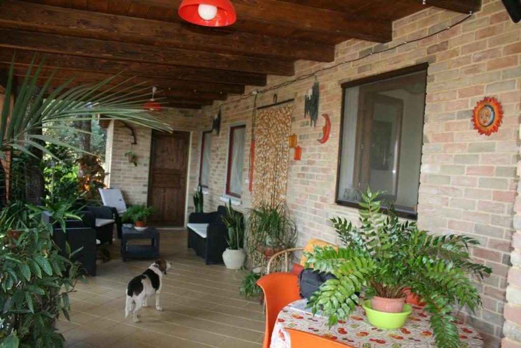 Casa Campagna Hotel Кастиадас Екстериор снимка